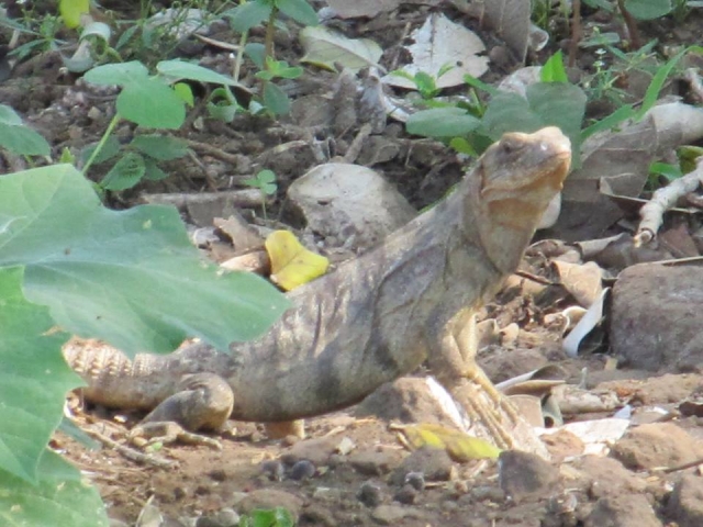 Sentieri naturalistici 